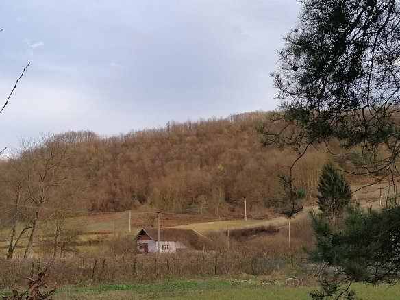 Prodajem vikend kucu i 20 ari placa
