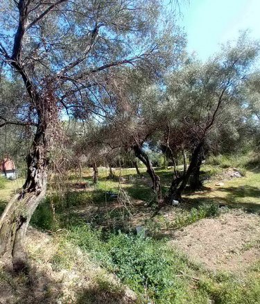 Herceg Novi, građevinski placevi na 1.7 km od centra