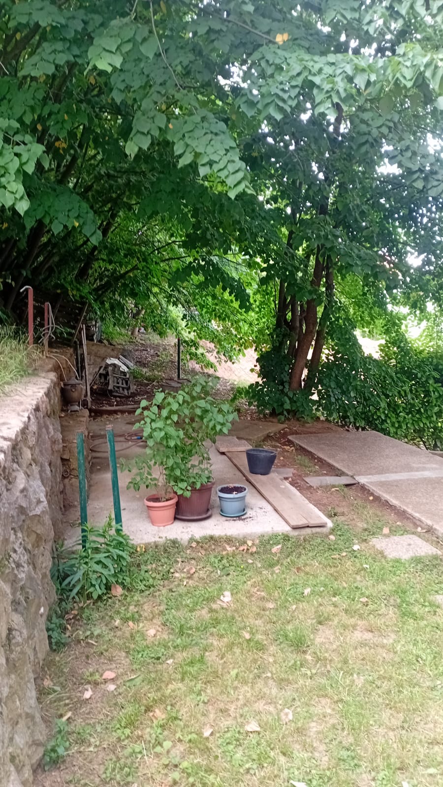 Avala, blizu megamarketa Koka Mar, 200 m2